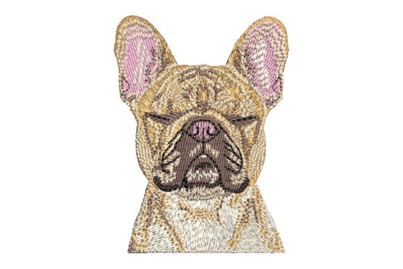 Meditating French Bulldog: A Designer’s Review